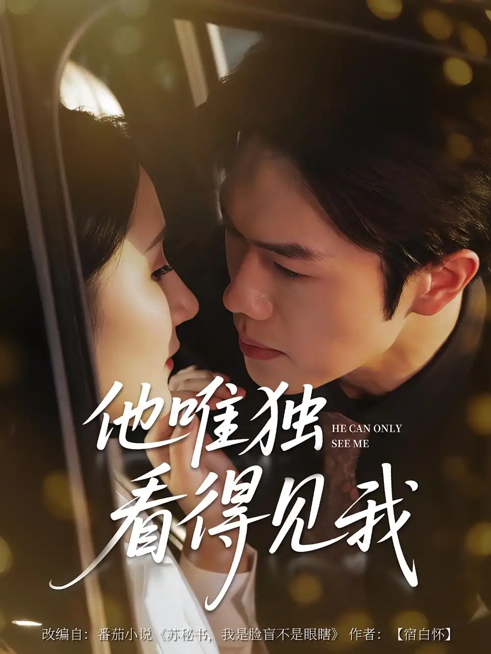 他唯独看见我(80集)高清海报图片 他唯独看见我(80集)海报