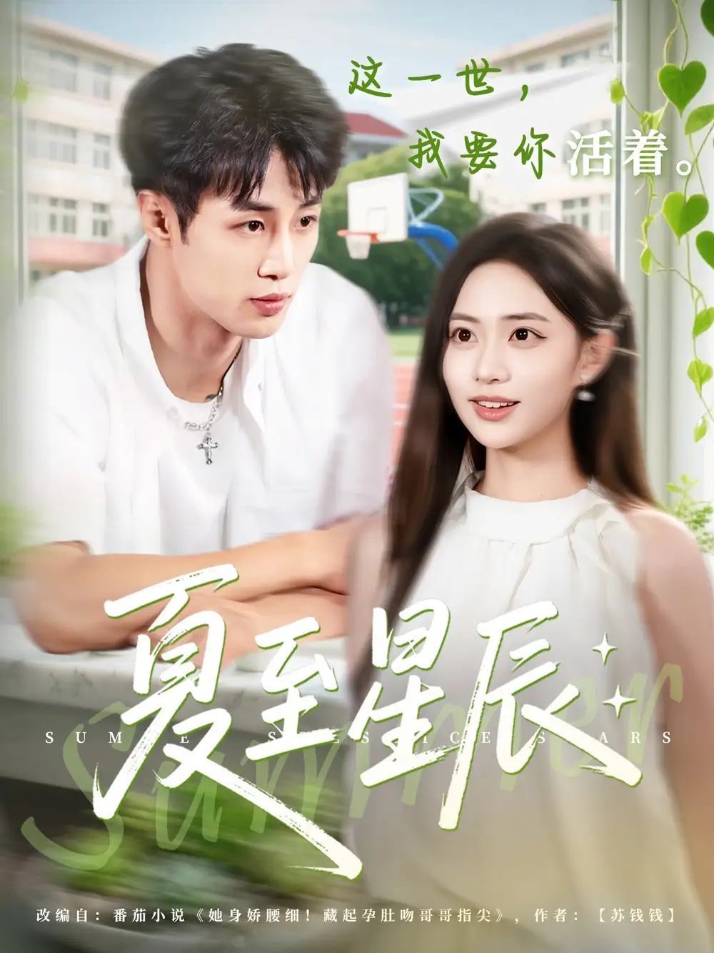 夏至星辰（54集）申琦＆黄也玶海报