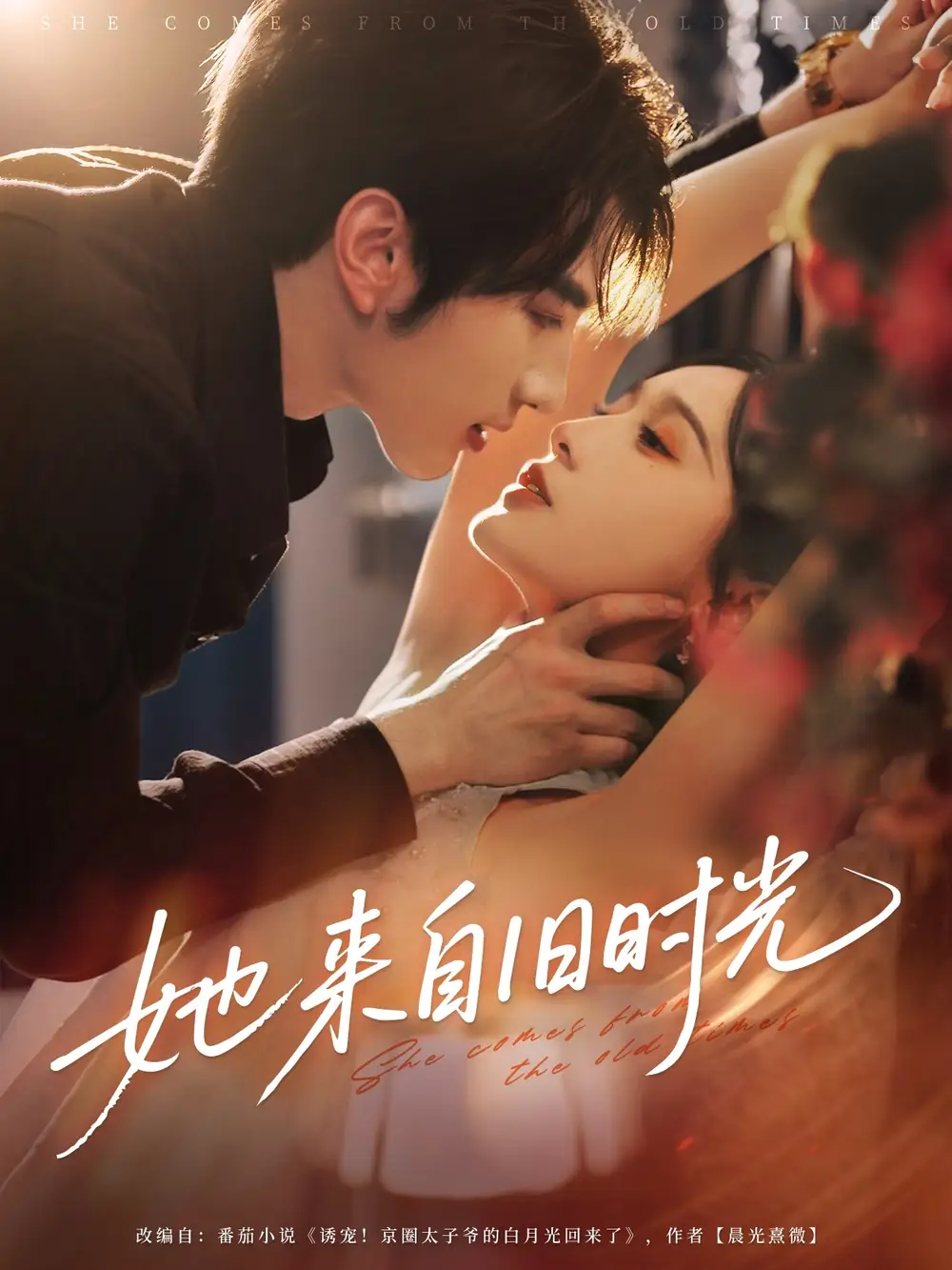 短剧《她来自旧时光》全集免费在线观看大结局