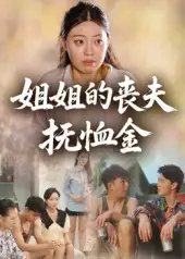 姐姐的丧夫抚恤金(40集)高清海报图片 姐姐的丧夫抚恤金(40集)海报