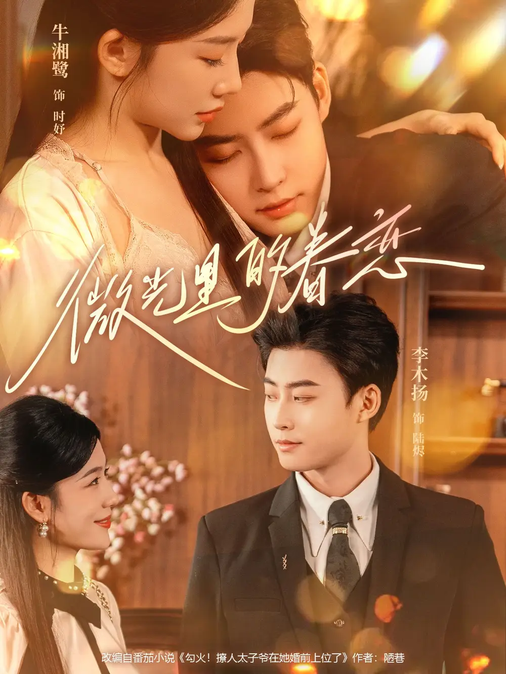 微光里的眷恋(84集)牛湘鹭&李木扬高清海报图片 微光里的眷恋(84集)牛湘鹭&李木扬海报