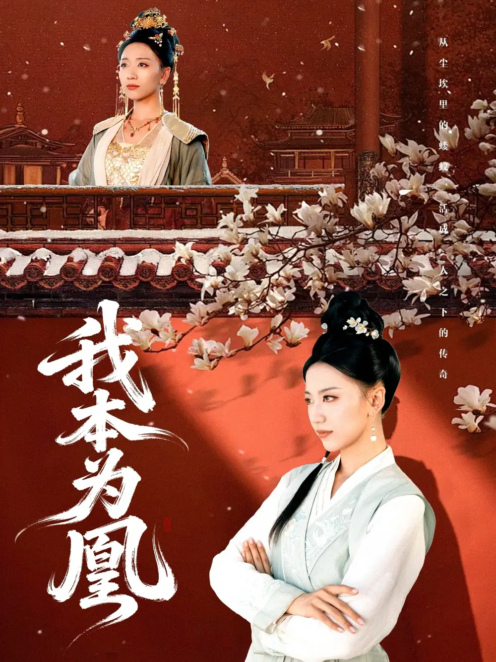 短剧《我本为凰》全集免费在线观看大结局