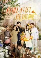 短剧《有眼不识真锦鲤》全集免费在线观看大结局