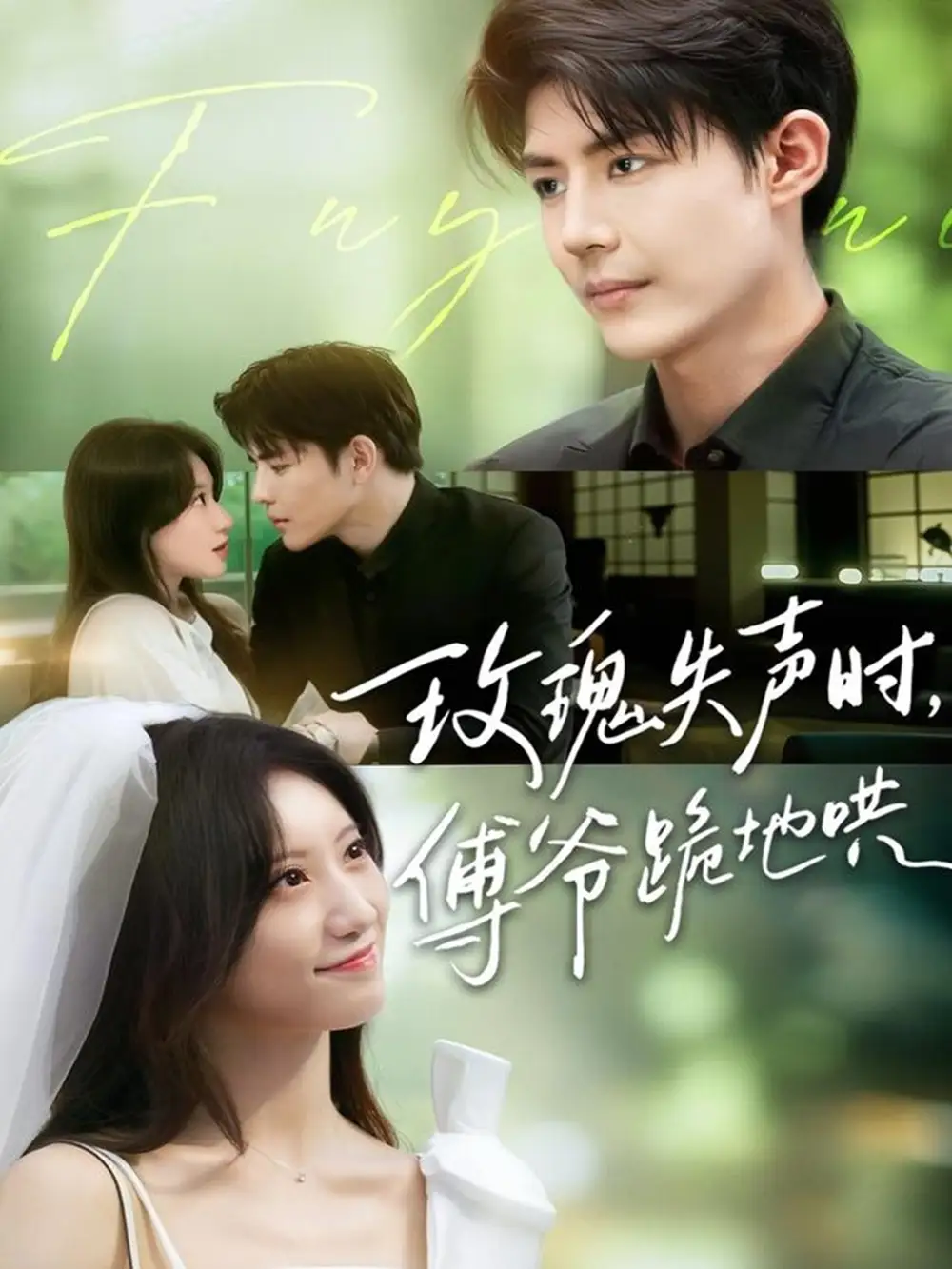 短剧《玫瑰失声时傅爷跪地哄》全集免费在线观看大结局