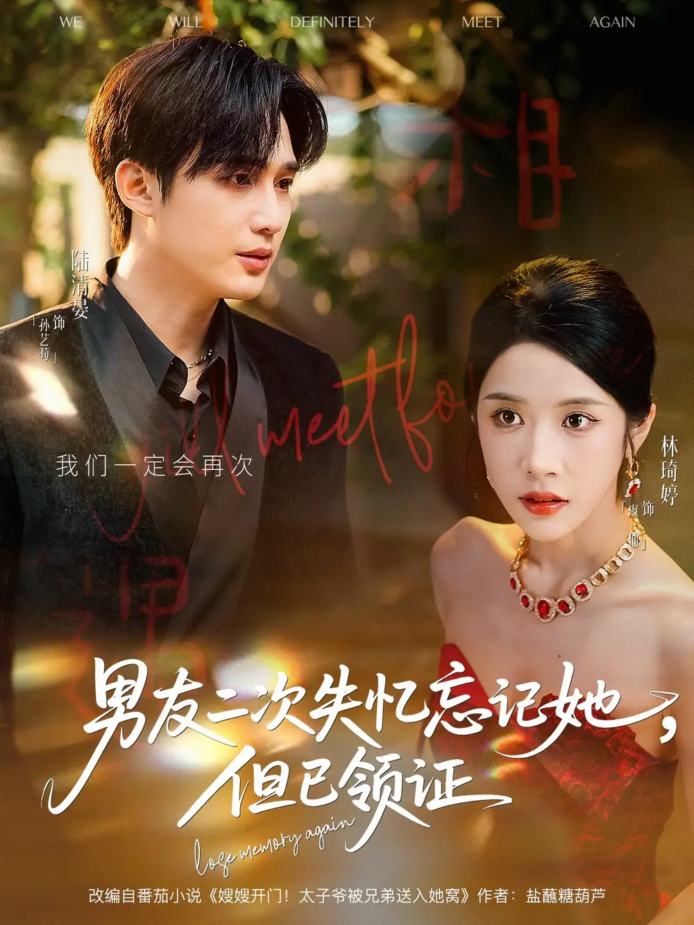 男友二次失忆忘记她但已领证（81集）孙艺荀＆林琦婷海报