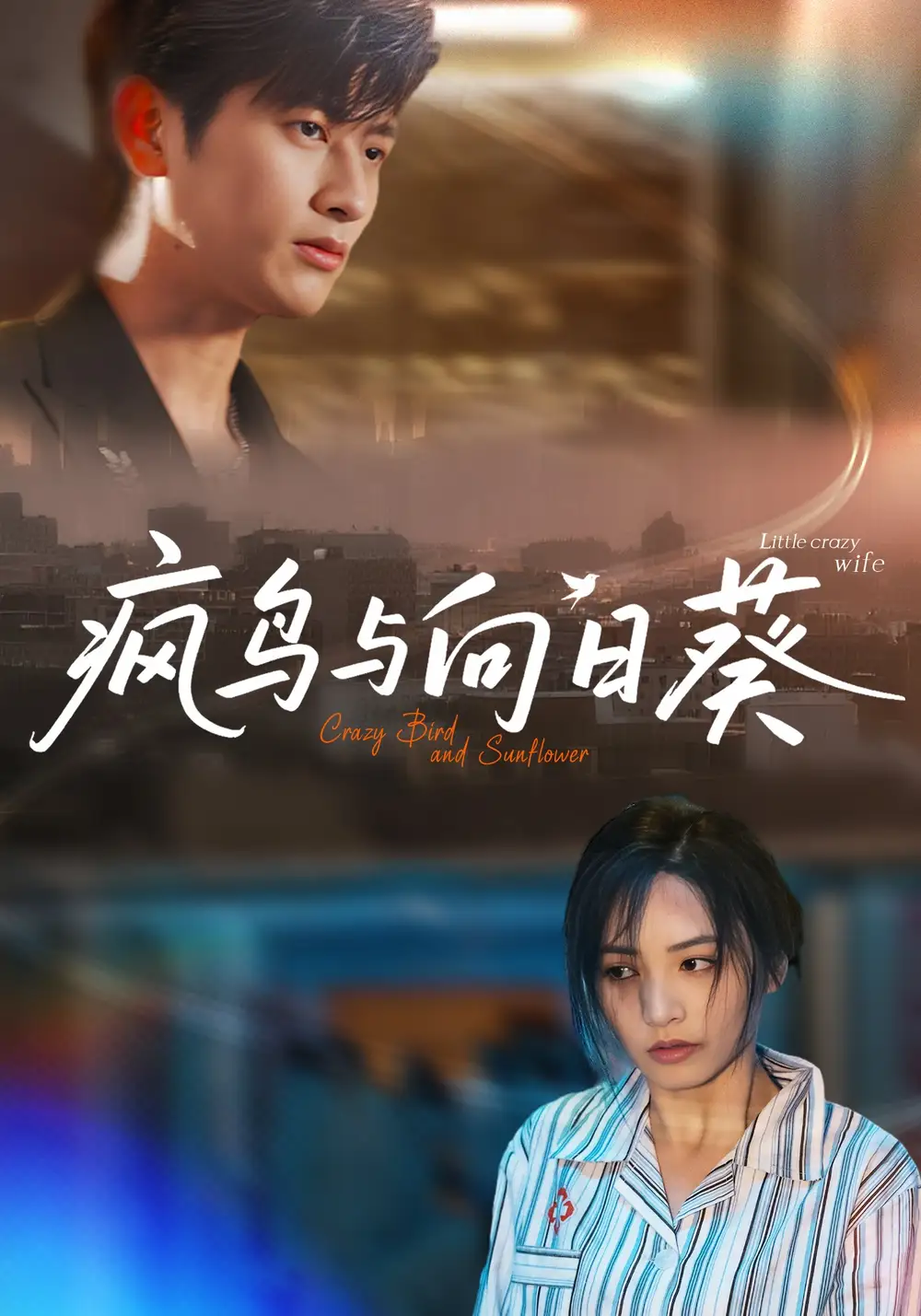 疯鸟与向日葵（40集）韩叙&李虹艺海报