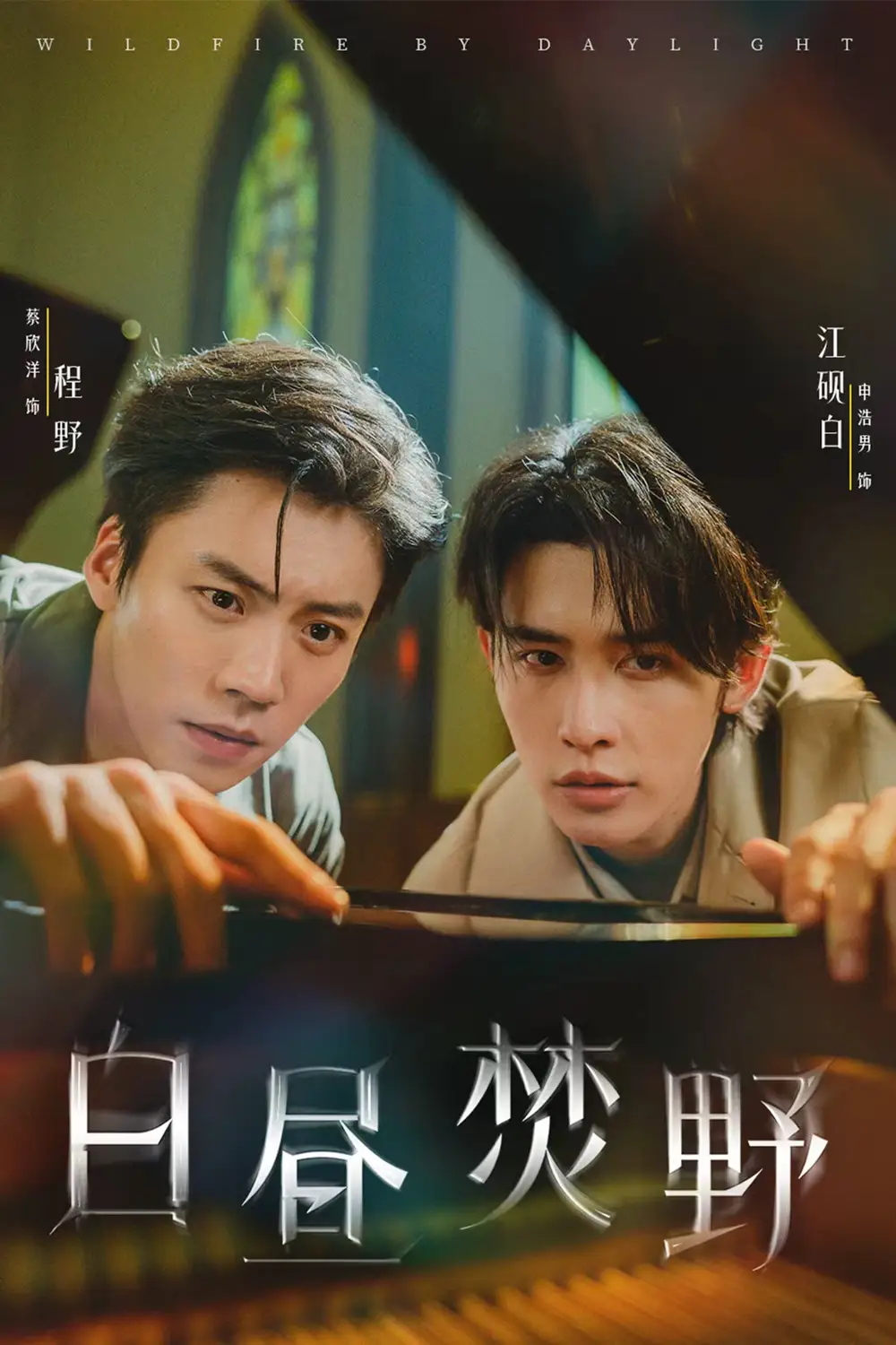 短剧《白昼焚野》全集免费在线观看大结局