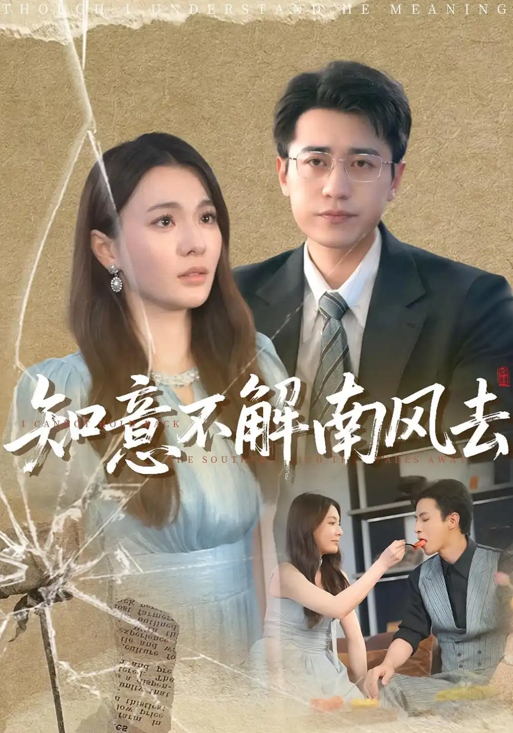 短剧《知意不解南风去》全集免费在线观看大结局