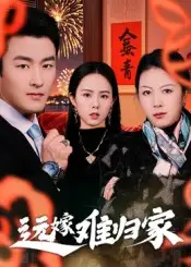 远嫁难归家（32集）姜博龙海报