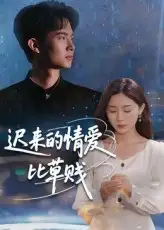 迟来的情爱比草贱(46集)高清海报图片 迟来的情爱比草贱(46集)海报