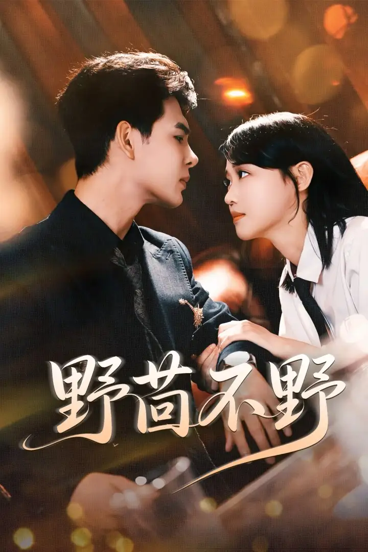 短剧《野茴不野》全集免费在线观看大结局