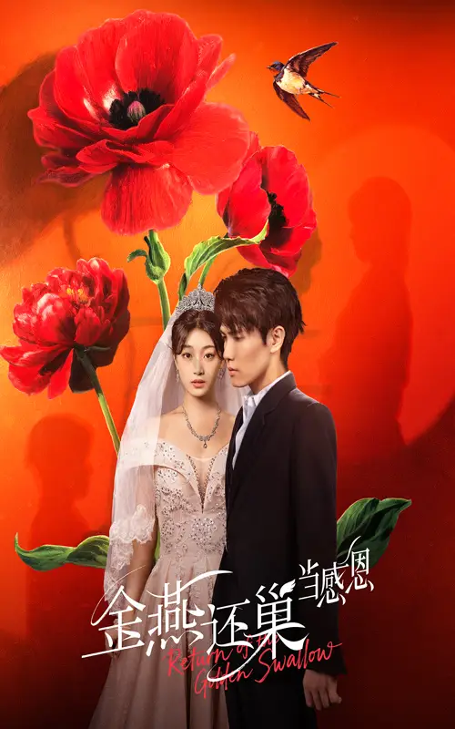 短剧《金燕还巢当感恩》全集免费在线观看大结局