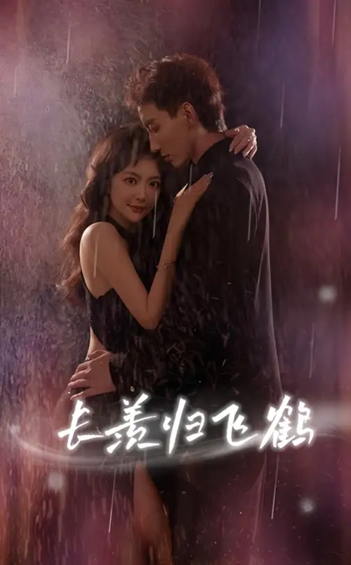 短剧《长羡归飞鹤》全集免费在线观看大结局