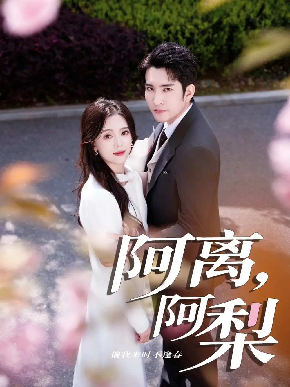 短剧《阿离阿梨》高清完整版全集免费在线观看