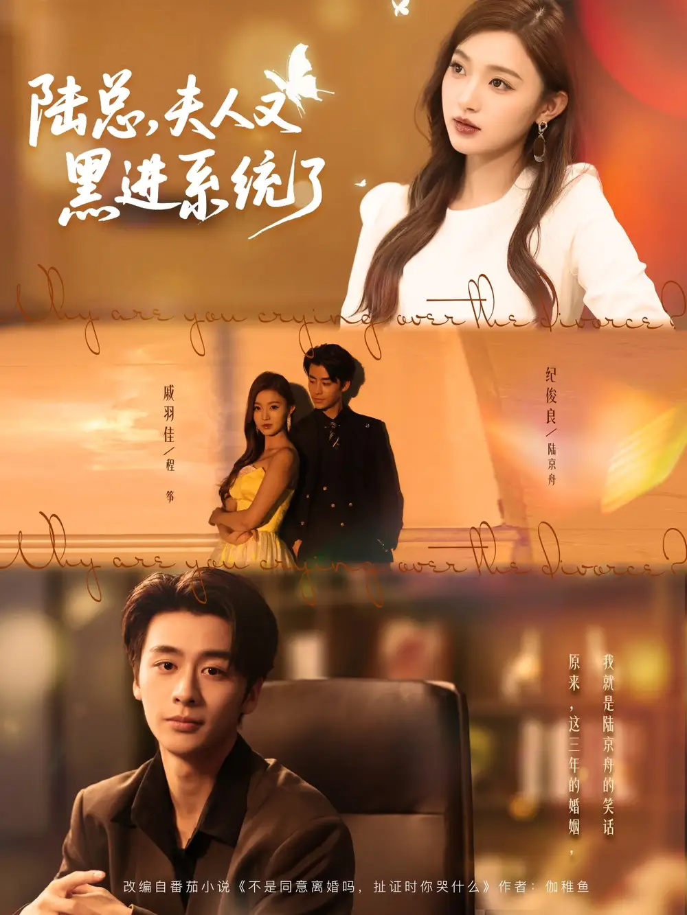 陆总夫人又黑进系统了（81集）纪俊良＆戚羽佳海报