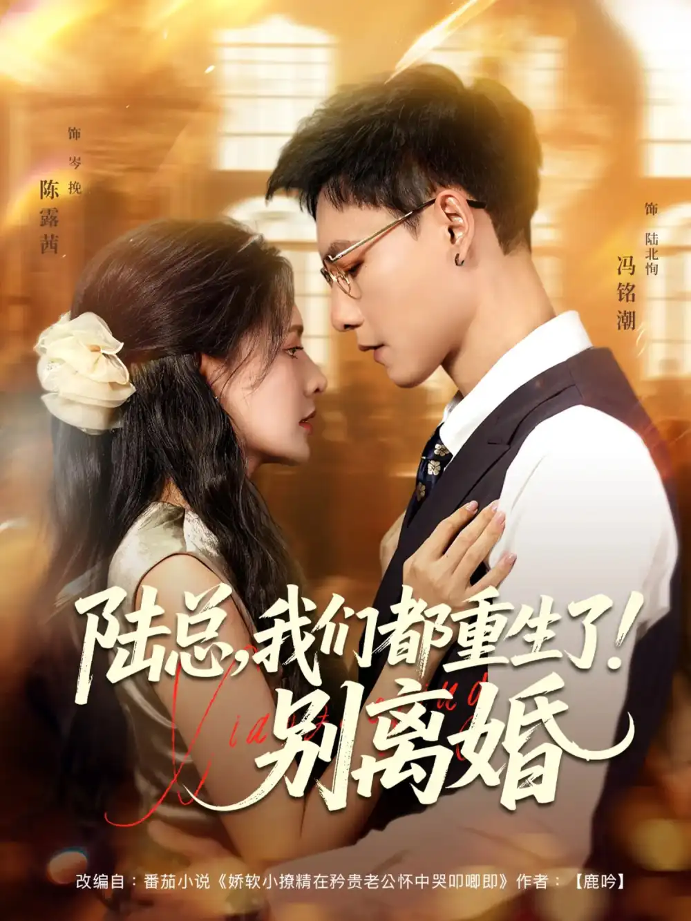 短剧《陆总我们都重生了别离婚》高清完整版全集免费在线观看