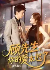 短剧《顾先生你的爱太迟了》全集免费在线观看大结局