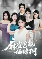 短剧《麻雀岂能栖梧桐》全集免费在线观看大结局