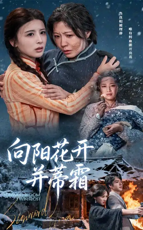 短剧《向阳花开并蒂霜》全集完整版在线观看