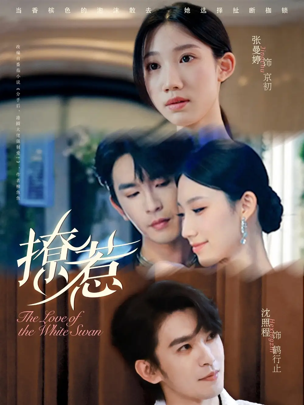 短剧《撩惹》全集完整版在线观看