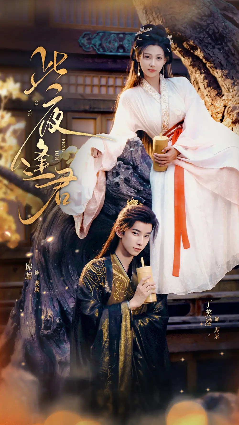 此夜逢君(76集)锦超&丁笑滢高清海报图片 此夜逢君(76集)锦超&丁笑滢海报