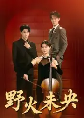 野火未央（40集）张旭&刘畅海报