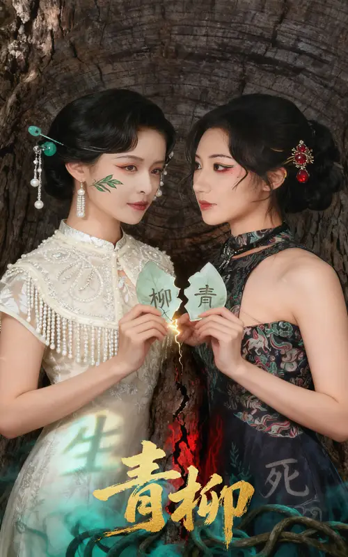 青柳（79集）沈国洋&王思瑾海报