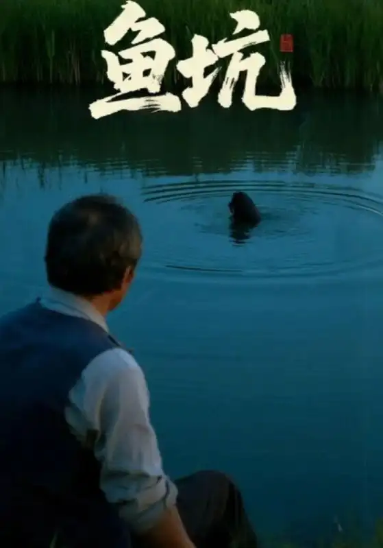 短剧《鱼坑》全集完整版在线观看