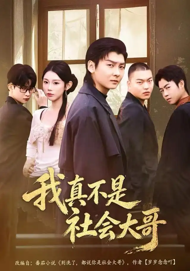 短剧《我真不是社会大哥》全集完整版在线观看