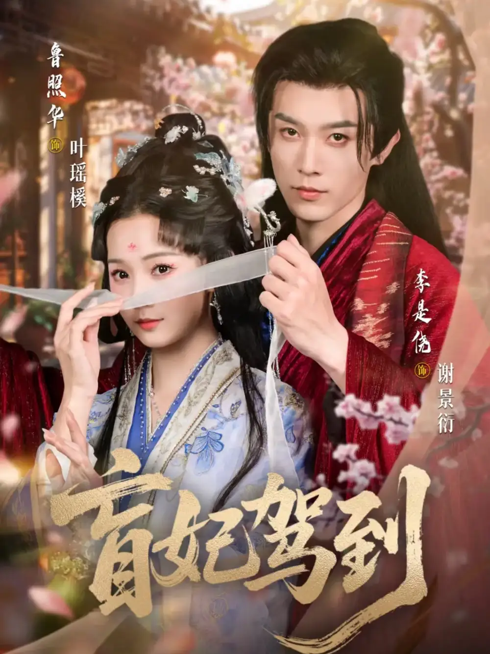 盲妃驾到（65集）鲁照华＆李是侥海报